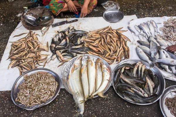 Místní Rybí Trh Yangon Myanmar — Stock fotografie