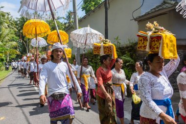 Bali, Endonezya - 16 Eylül 2016: Geleneksel balinese geçit töreni sırasında Galungan kutlama Ubud, Endonezya