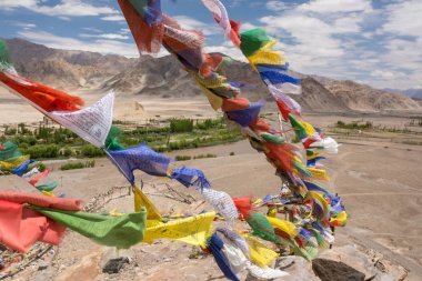 Renkli Budist dua bayrakları Manastırı yakınındaki Leh, Ladakh, Hindistan içinde
