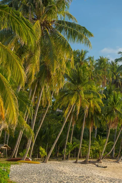 Hermosa Playa Tropical Con Palmeras Isla Koh Chang Tailandia —  Fotos de Stock