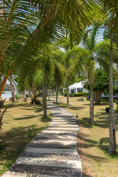 Bela Passarela Sob Palmeiras Resort Tropical Ilha Koh Kood Tailândia — Fotografia de Stock