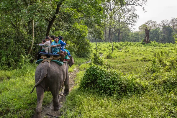 Jaldapara Indien Mai 2017 Jaldapara Elefantensafari Jaldapara Nationalpark — Stockfoto