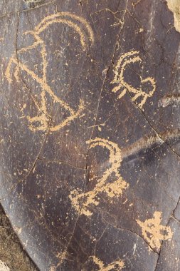 Domkhar rock sanat kutsal Indus Nehri yanındaki Ladakh, Domkhar Köyü.