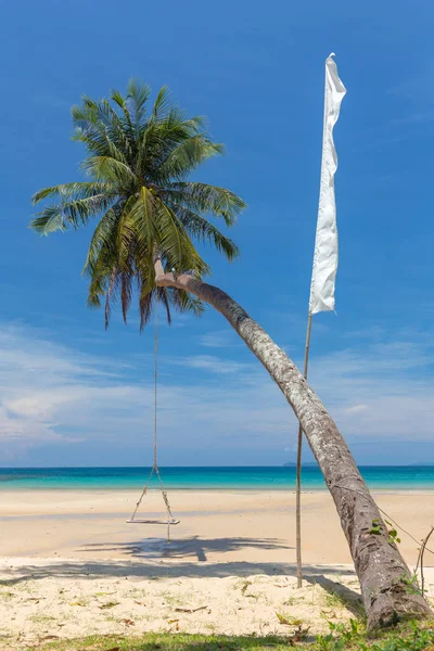 Palm Tree Beautiful Tropical Beach Koh Kood Island Thailand — Stock Photo, Image