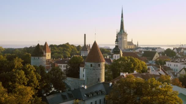 Tallinn şehir duvarı ve St. Olafs Kilisesi manzarası — Stok video