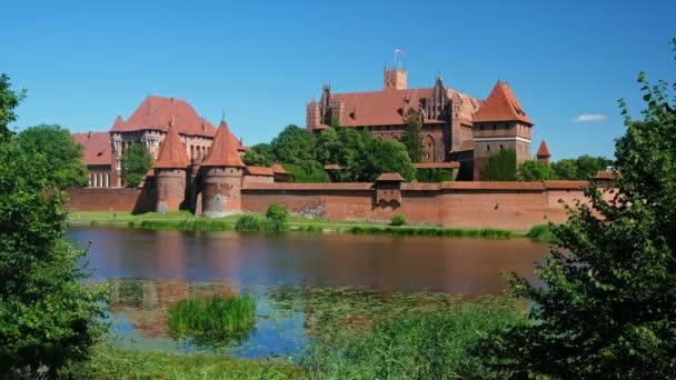 Teutonic Castle στο Malbork ή στο Marienburg το καλοκαίρι στην Πολωνία — Αρχείο Βίντεο