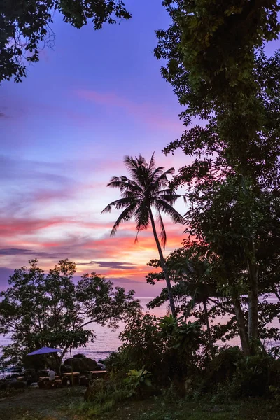 Palmiers avec ciel couchant au backgroun — Photo