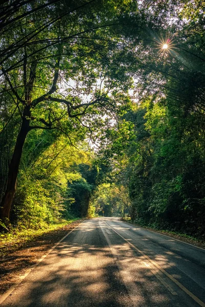 Morning sun shining through the trees on the country road in Thailand