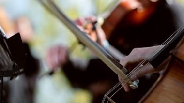 Kemancı bir orkestrada keman çalıyor. Kapıları kapatın.