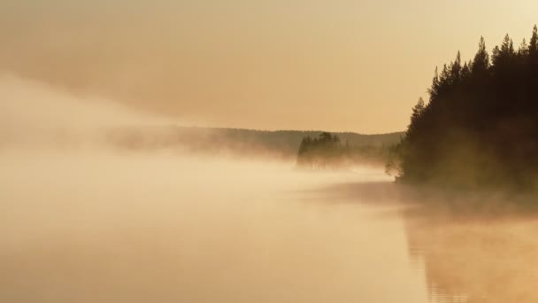 Утренний туман на озере на восходе солнца — стоковое видео