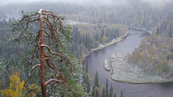Vista temprana de otoño en el paisaje del Parque Nacional de Oulanka — Vídeos de Stock