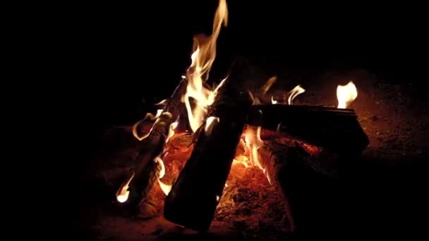 Hořící oheň v noci, táborák ve zpomaleném filmu — Stock video