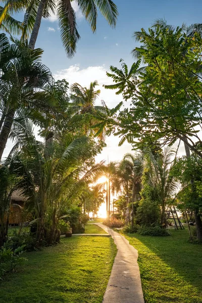 Wunderschöne tropische Ferienanlage mit Palmen und üppigen Dschungelpflanzen bei Sonnenuntergang — Stockfoto