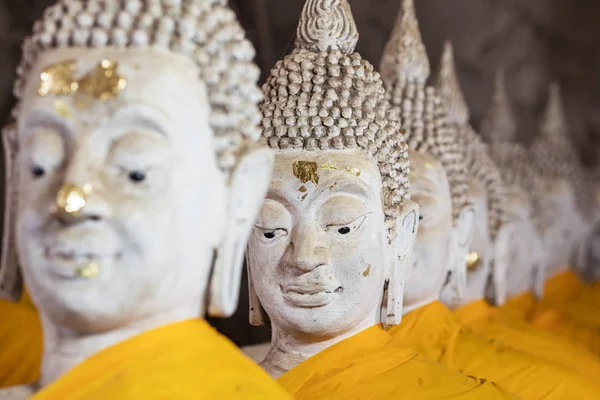 Fila das estátuas de Buda tailandês no templo budista — Fotografia de Stock