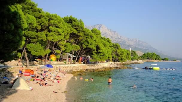 Beautiful beach in Makarska riviera on Mediterranean sea coast in Croatia — 비디오