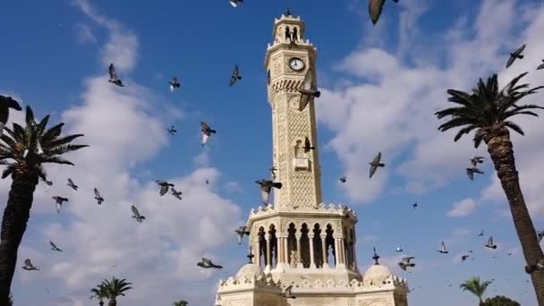 Hejno holubů létajících kolem Izmir Clock Tower v Izmiru, Turecko. — Stock video