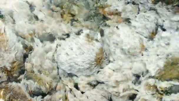 Closeup top view of the white algae plant fluttering in hot springs water — Stock Video