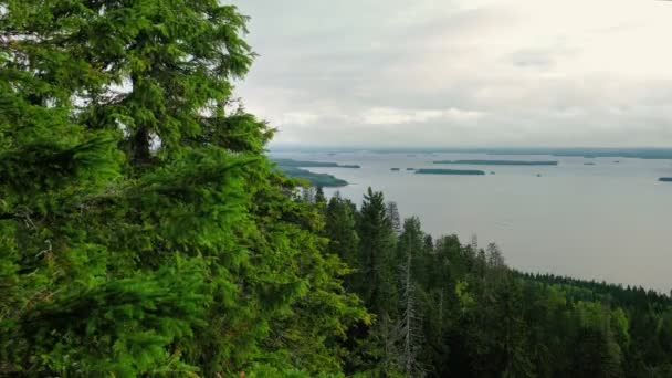 Vakkert naturlandskap i Koli nasjonalpark i Finland – stockvideo