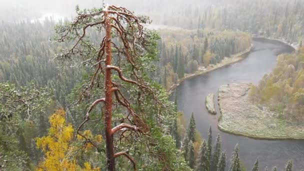 Paisaje panorámico con la primera nieve cayendo en bosque mixto de otoño y río — Vídeos de Stock