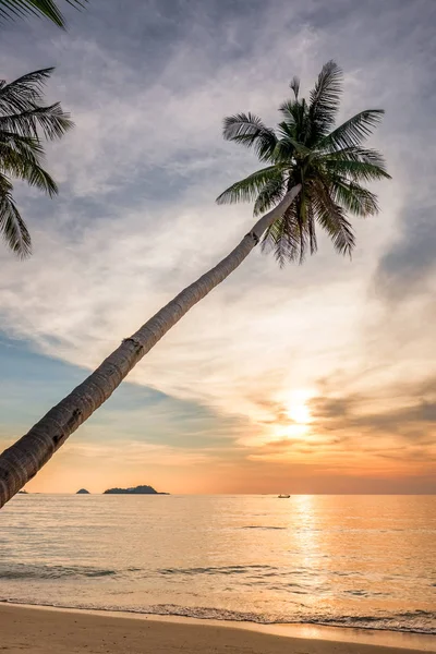 Palme an einem leeren tropischen Strand bei Sonnenuntergang — Stockfoto