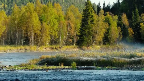 Vroeg in de ochtend landschap met mistige rivier in de herfst — Stockvideo