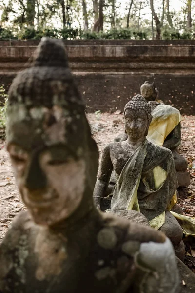 Antiche statue di Buddha nel tempio di Wat Umong Chiang Mai — Foto Stock