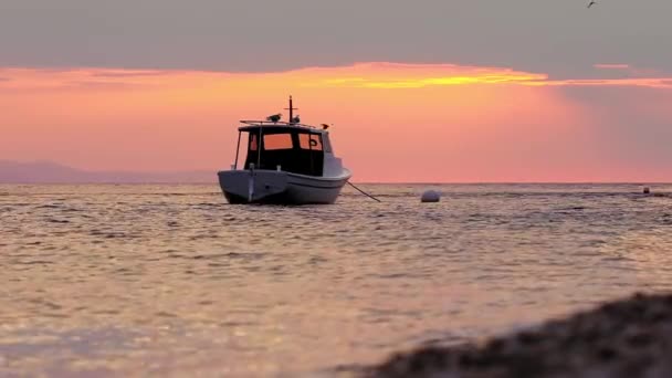 Motorboot in zee bij zonsondergang — Stockvideo