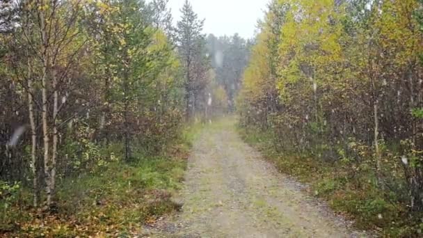 Primera nieve en bosque otoñal con carretera rural — Vídeos de Stock