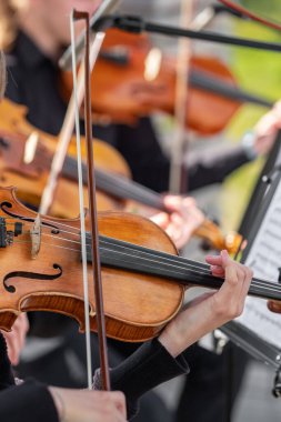 Violinists playing the violins in an orchestra. Selective focus at 