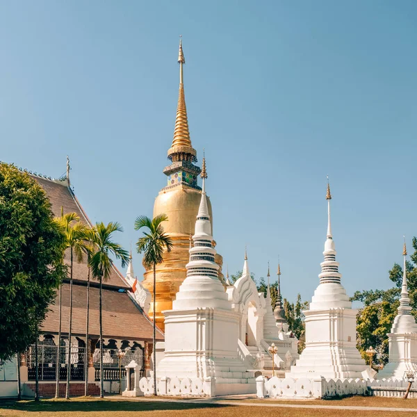 Wat Suan Dok temple in Chiang Mai, Thailand — Stock Photo, Image