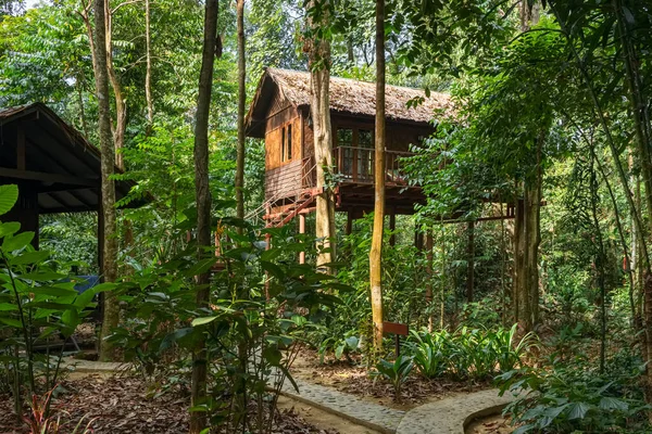 Wooden tree house bungalow in rainforest — Zdjęcie stockowe