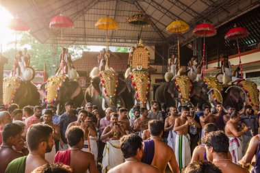 Siva Tapınağı, Ernakulam, Kerala, Hindistan 'daki tapınak festivalinde filler süslenmiş.