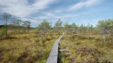 POV moving along the wooden path over swamp in national park, Finland