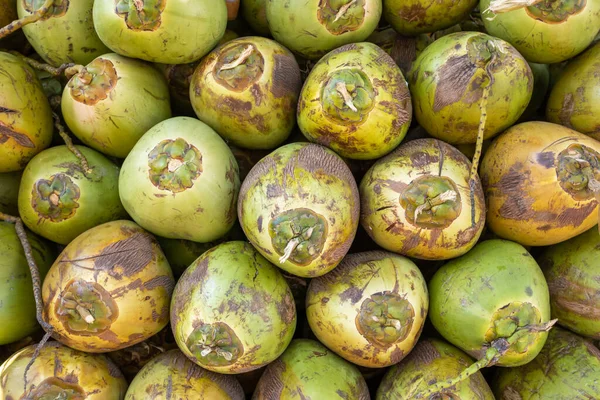 Färska gröna kokosnötter frukter bakgrund — Stockfoto