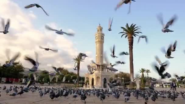 Taubenschwarm fliegt um den Uhrenturm von Izmir, Türkei. — Stockvideo