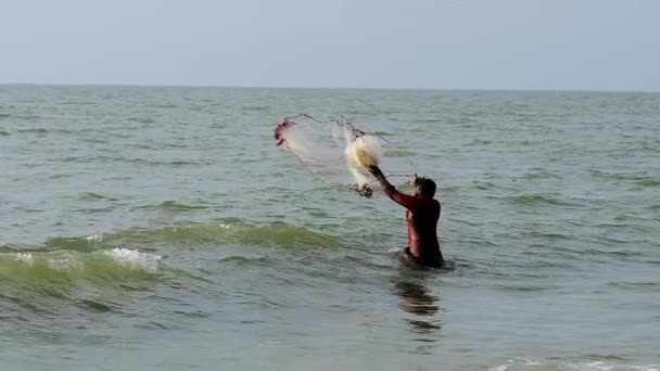 Невідомий індійський рибалка ловить рибу, кидаючи сіті (штат Керала, Індія). — стокове відео