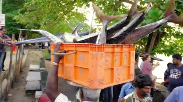Indische Fischer tragen Kiste mit Fischen auf Fischmarkt in Fort Kochi, Indien — Stockvideo