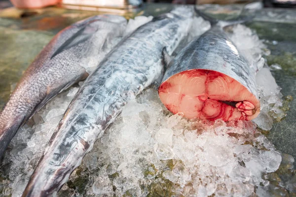 Thunfisch frisch auf Eis — Stockfoto