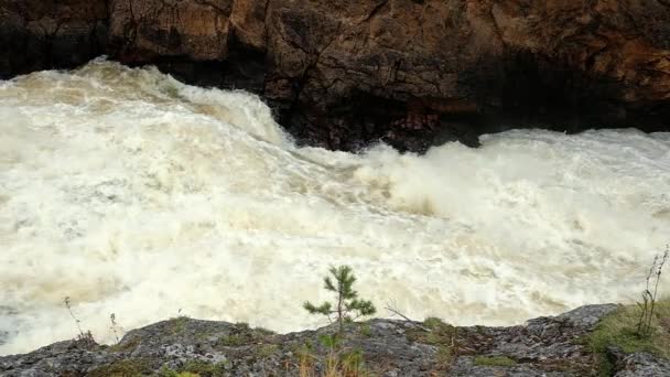 Rio da montanha que atravessa o desfiladeiro rochoso — Vídeo de Stock