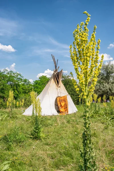 Single, solitary teepee in a forest. — Stock Photo, Image