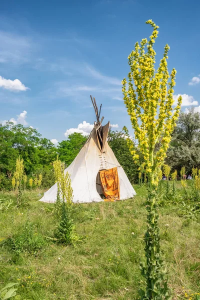 Soltero, tipi solitario en un bosque . — Foto de Stock