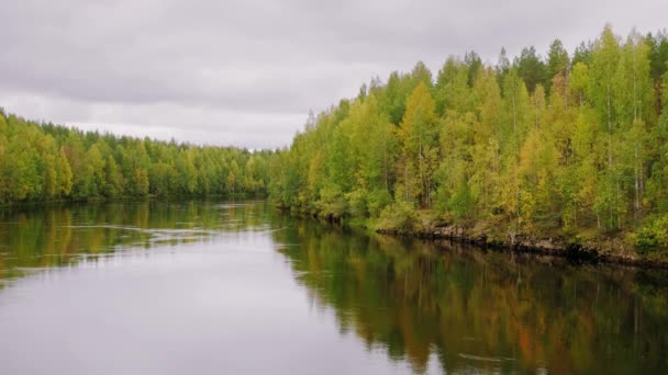 Beau paysage d'automne avec rivière forestière . — Video