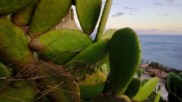 Vecchia chiesa Chiesa di San Biagio a Castelmola, Sicilia — Video Stock