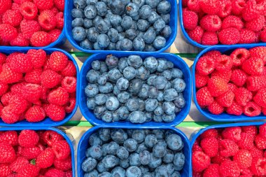 Yiyecek pazarında mavi kutularda yabanmersini ve ahududu..