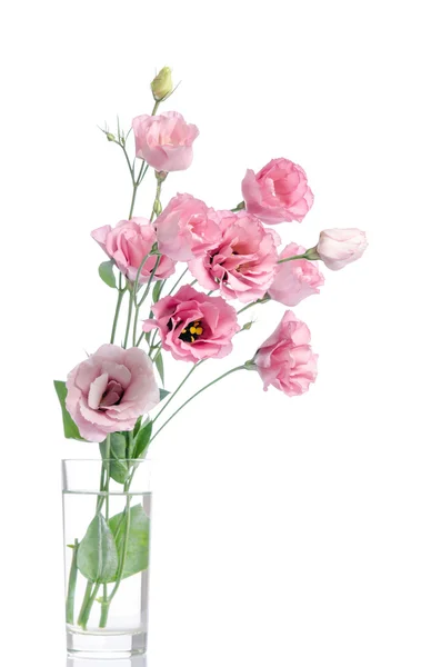 Bunch of pink eustoma flowers in glass vase isolated on white — Stock Photo, Image