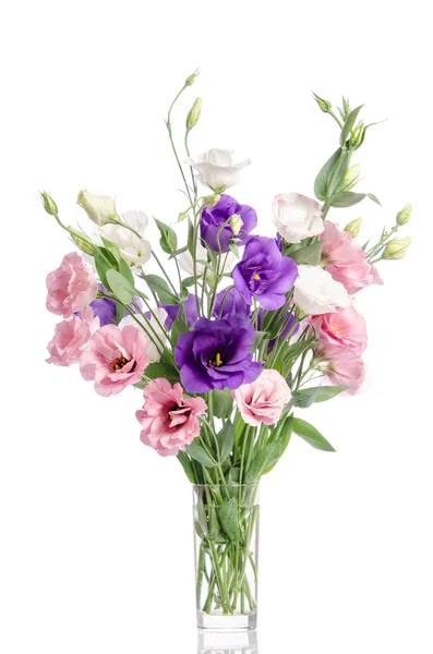 Bunch of violet, white and pink eustoma flowers in glass vase is — Stock Photo, Image