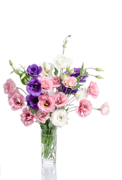 Bunch of violet, white and pink eustoma flowers in glass vase is — Stock Photo, Image