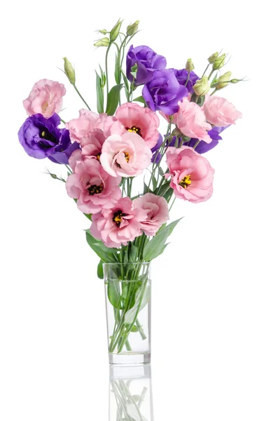 Jest kilka eustoma fioletowe, białe i różowe kwiaty w szklanym wazonie — Zdjęcie stockowe