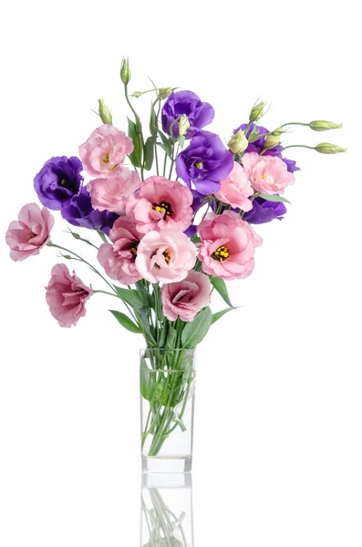 Bunch of violet, white and pink eustoma flowers in glass vase is — Stock Photo, Image