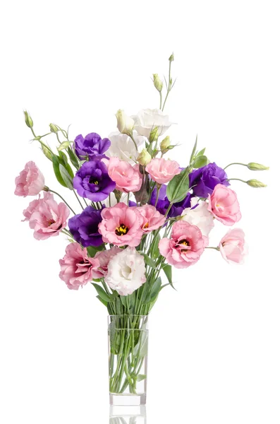 Bunch of violet, white and pink eustoma flowers in glass vase is — Stock Photo, Image